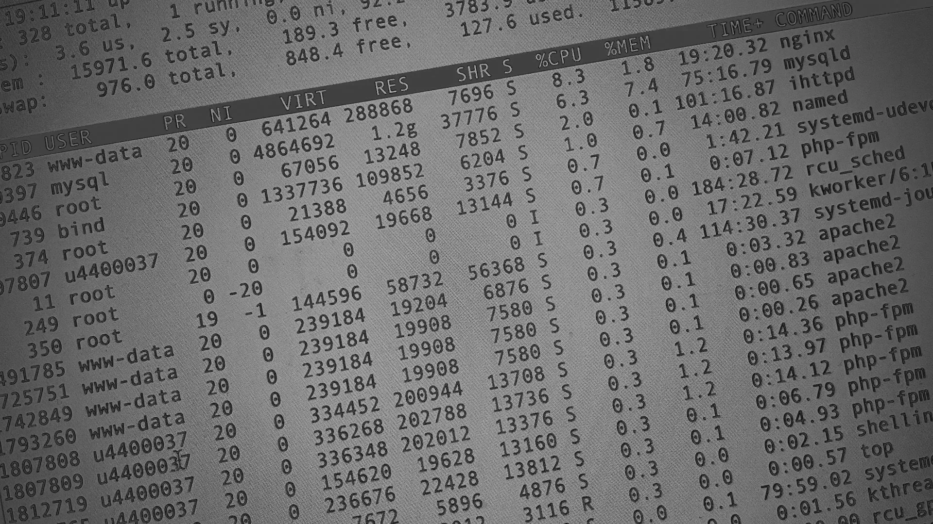 Настройка сервера в Отрадном