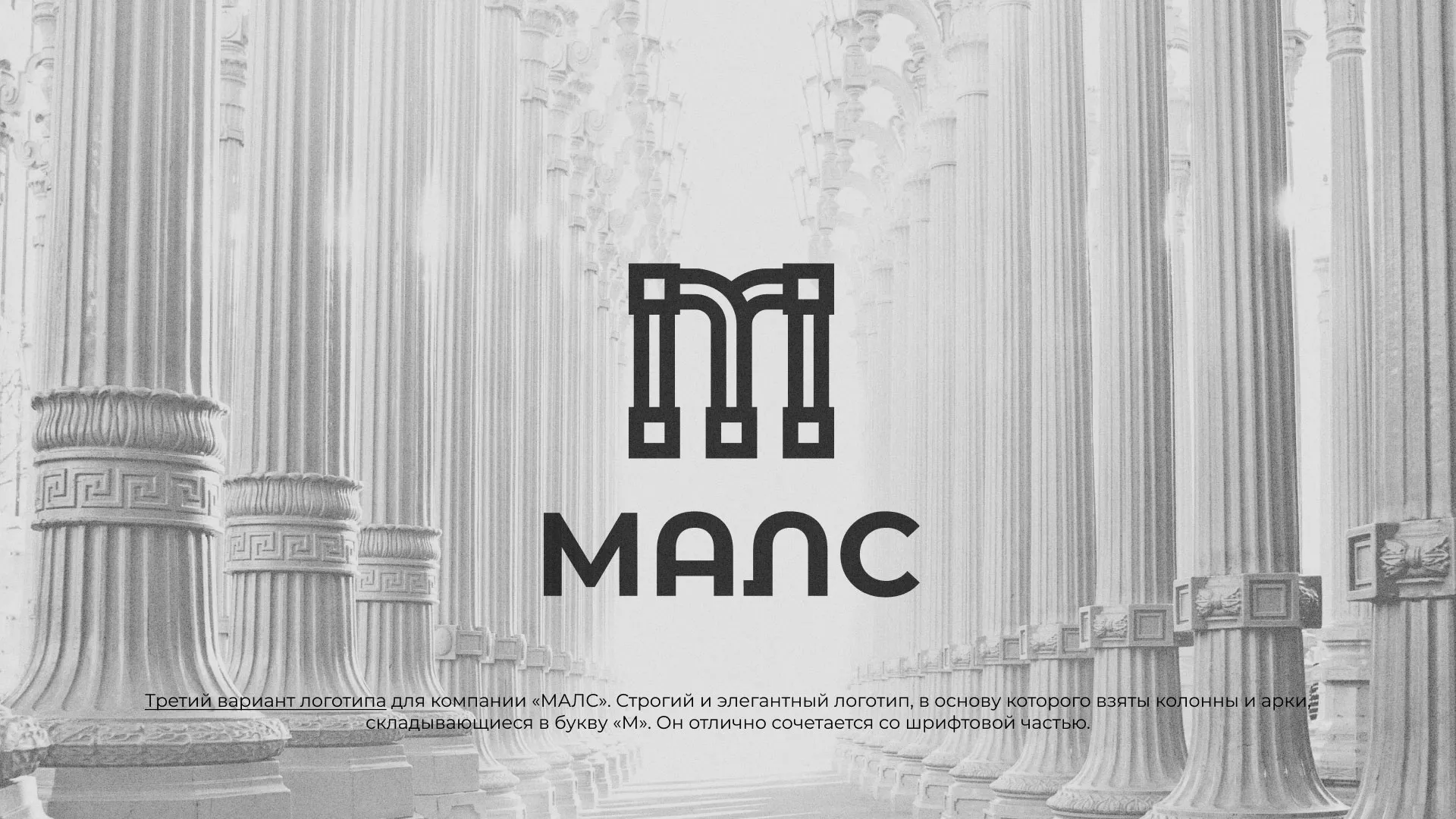 Разработка логотипа компании «МАЛС» в Отрадном