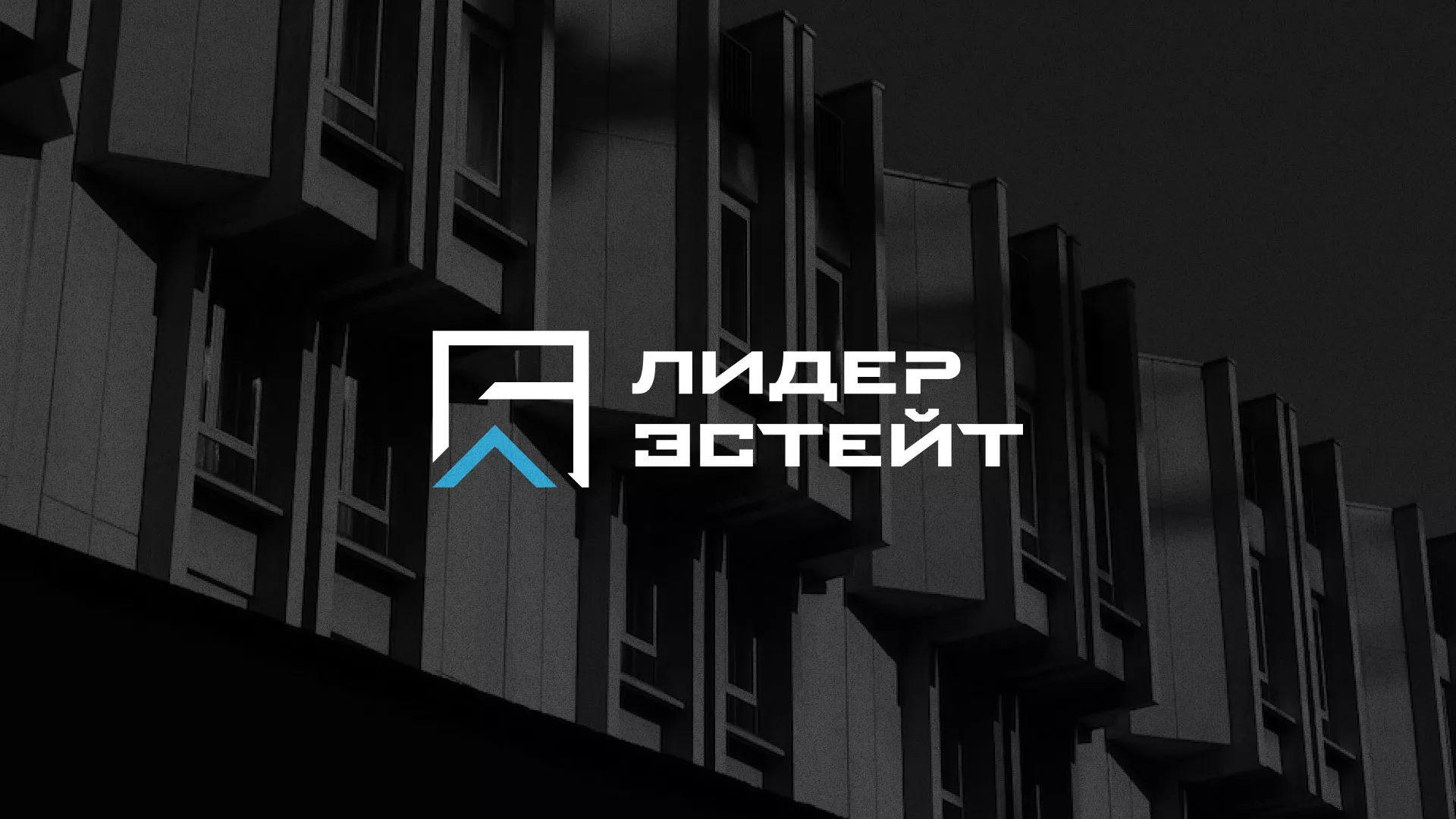Разработка логотипа агентства недвижимости «Лидер Эстейт» в Отрадном
